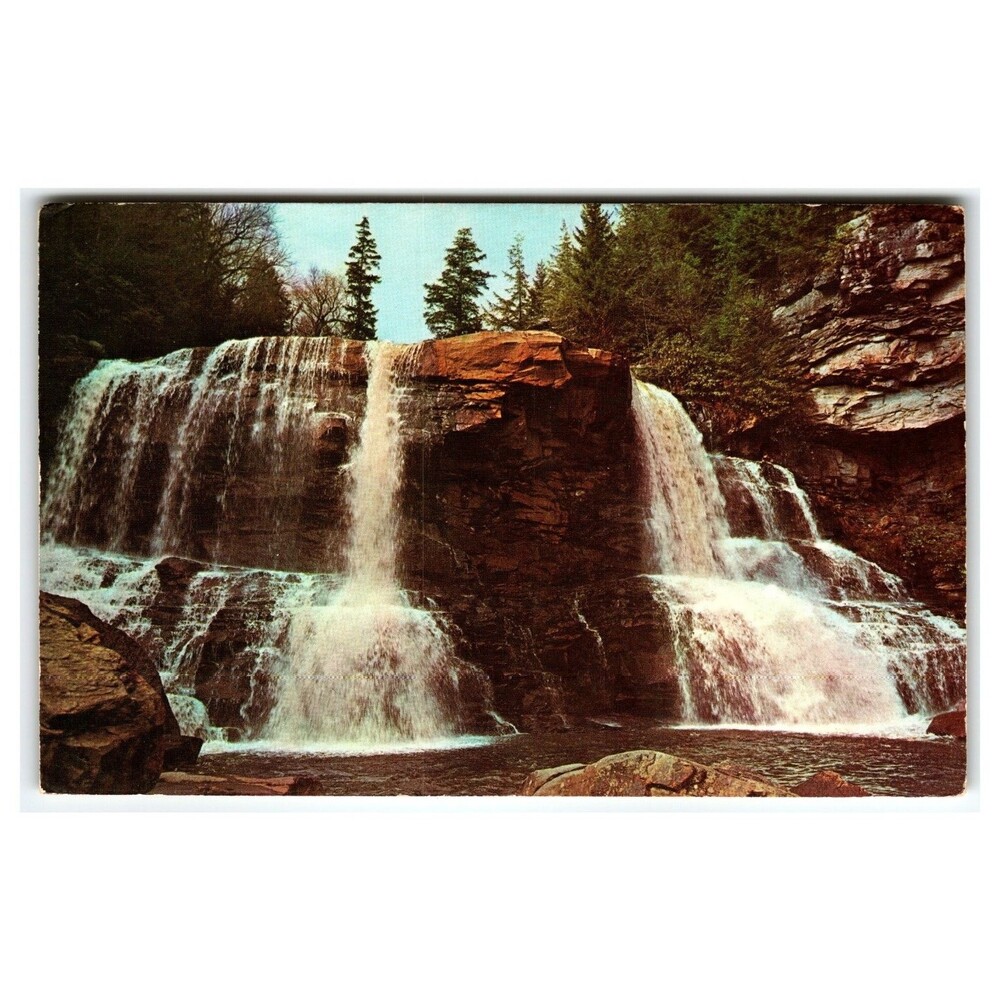 Blackwater Falls State Park Davis WV Postcard Chrome C. H. Ruth Dexter Press
